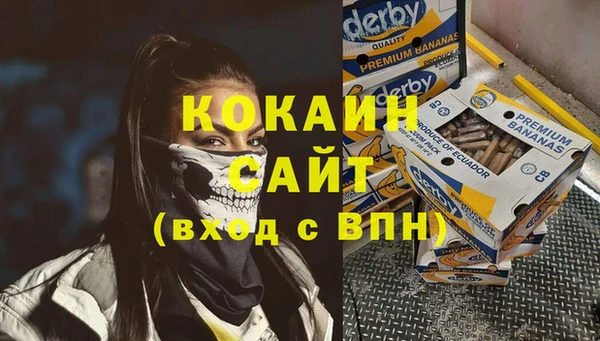 винт Алзамай