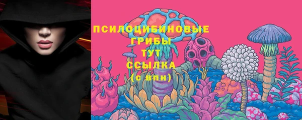скорость Алексин
