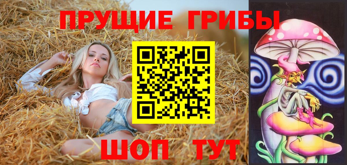 купить  сайты  Вход с VPN  Тольятти  Псилоцибиновые грибы Magic Shrooms 